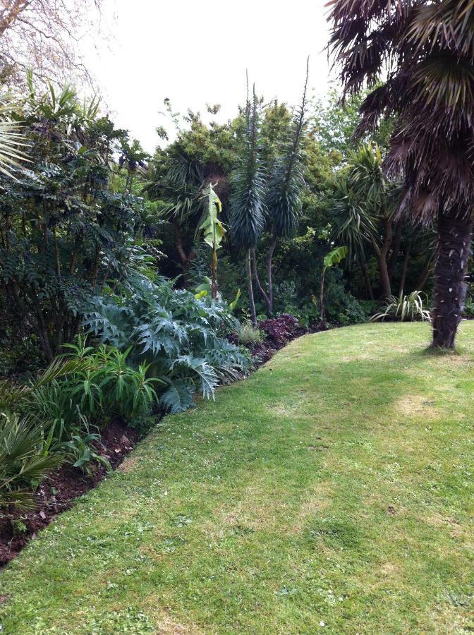Bed & Breakfast Palm Grove