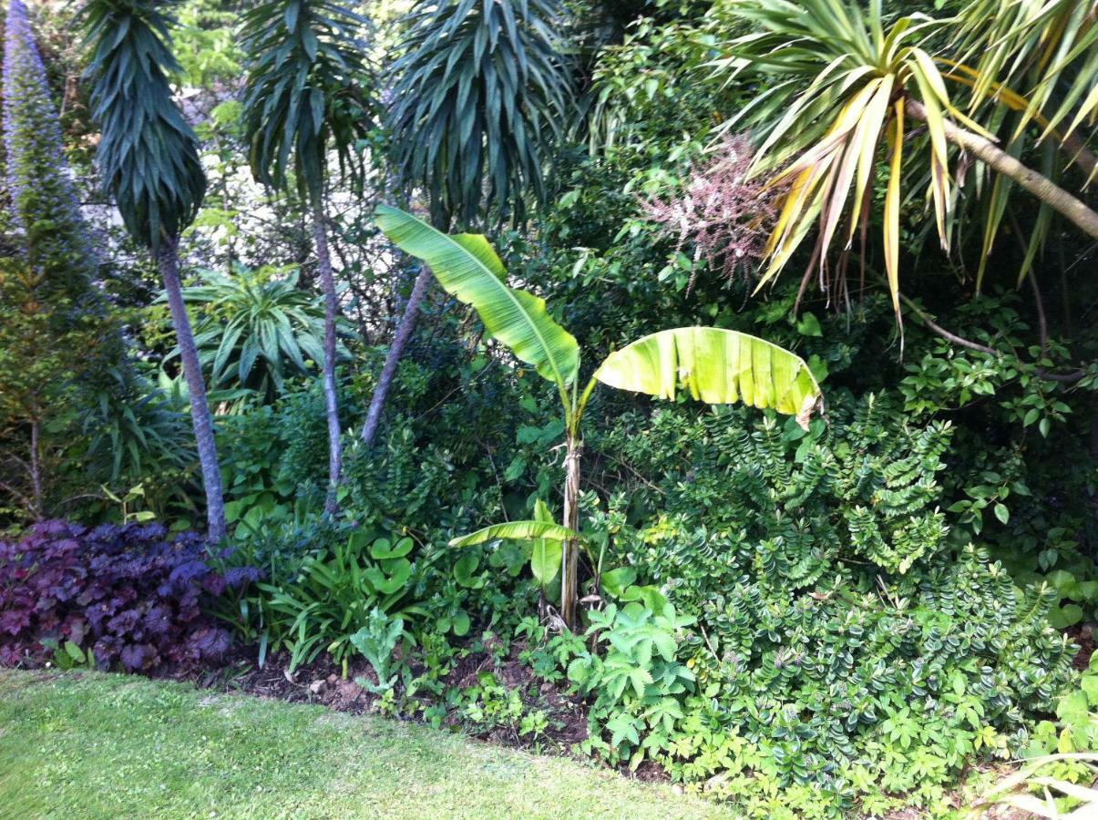 Palm Grove Torquay