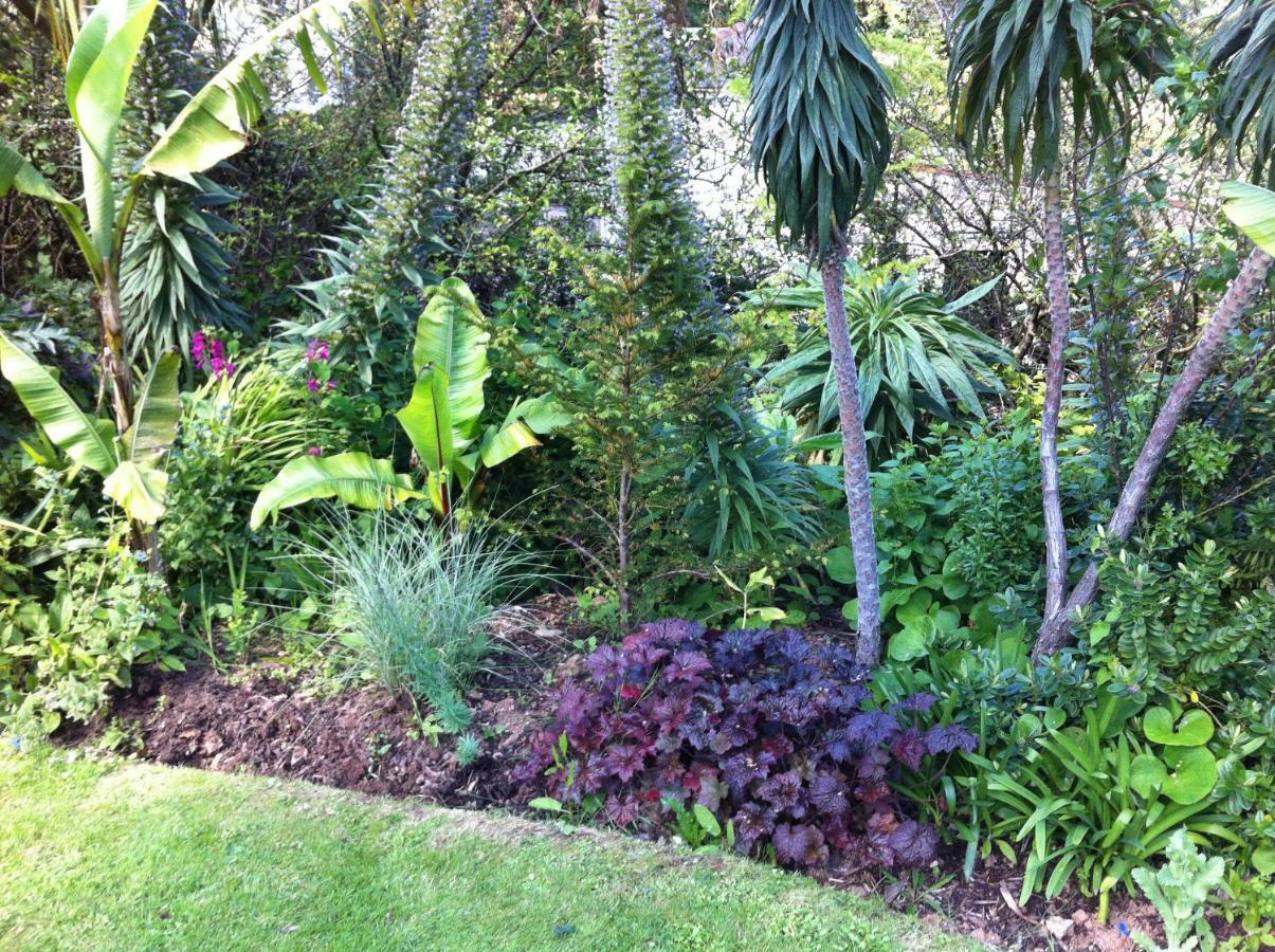 Palm Grove Bed & Breakfast