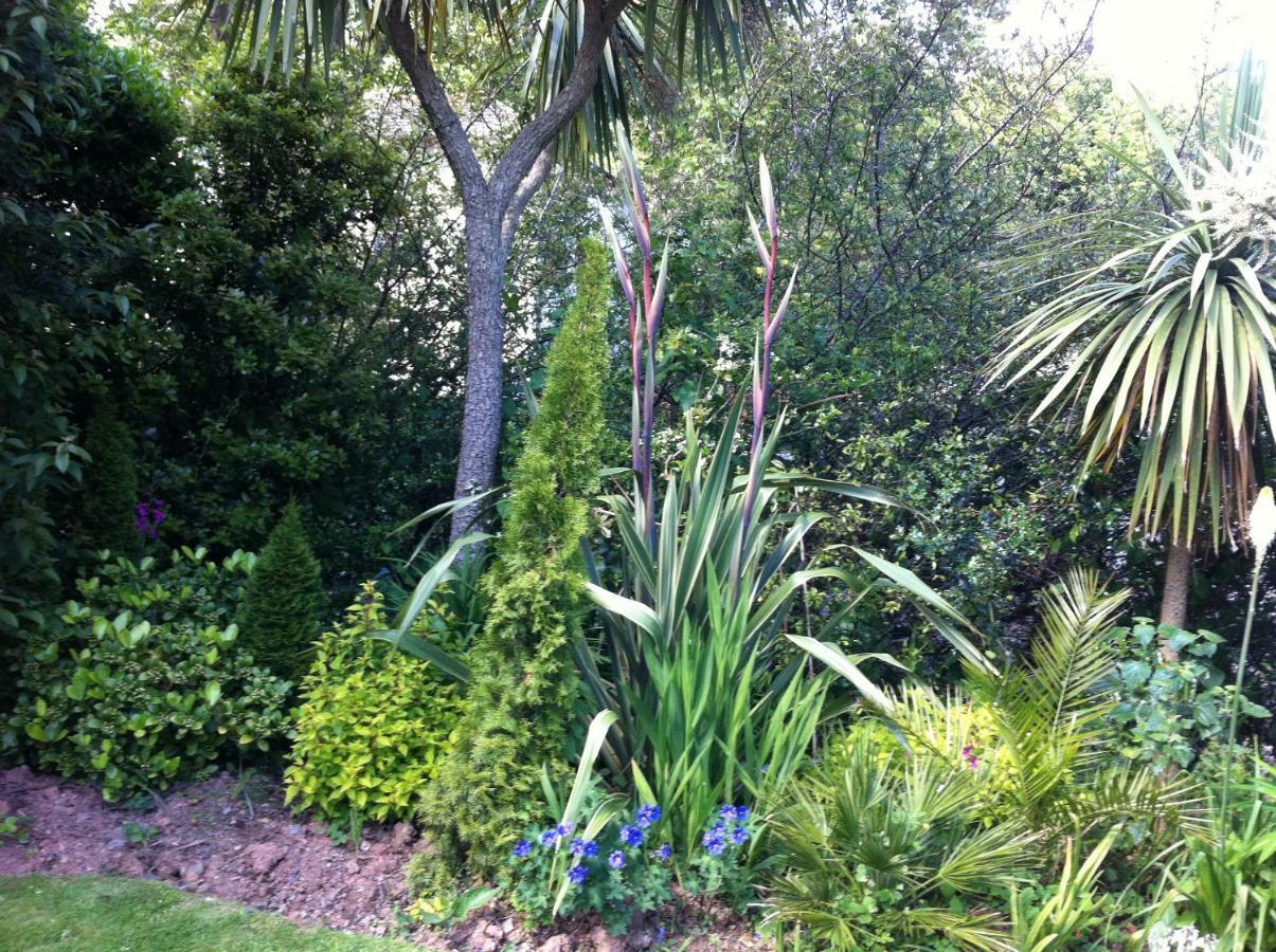 Palm Grove 3*