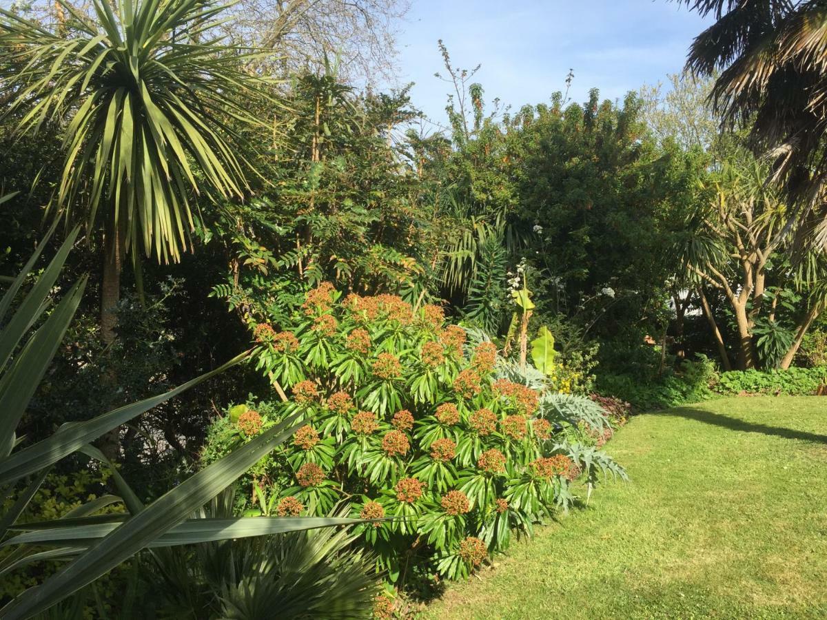 Bed & Breakfast Palm Grove 3*